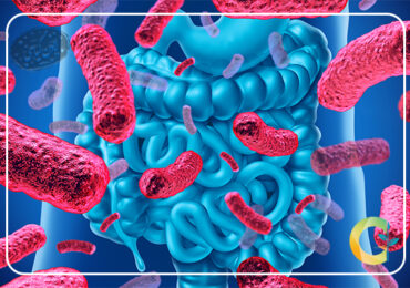 میکروبیوم روده و نقش پروبیوتیک و پره بیوتیک در سلامت ما